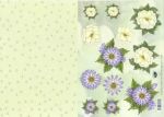 Blten mit Hintergrund TL 2249